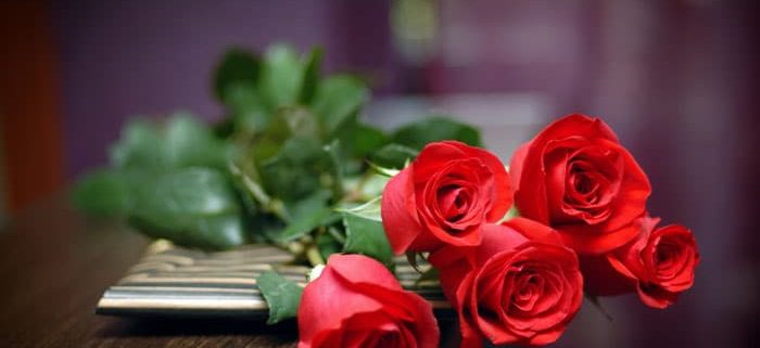 مدل رنگ روغن اورژینال